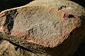 Thumbnail for version as of 05:57, 5 December 2006