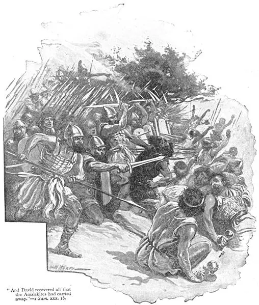 File:David-deafeats-Amalikites.jpg