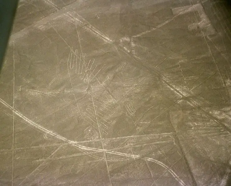 File:Nazca-lineas-condor-c01.jpg