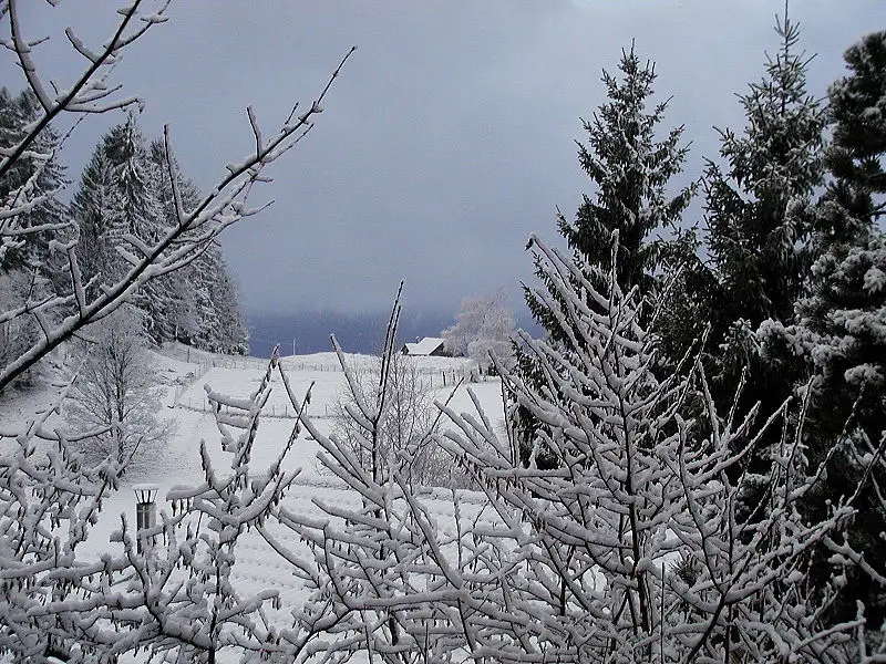 File:Schneelandschaft Furx.JPG