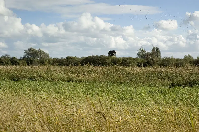 File:Wicken-Fen-Hide.jpg