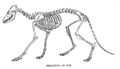 Thumbnail for version as of 18:15, 30 September 2007