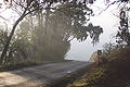Thumbnail for version as of 03:21, 21 December 2007
