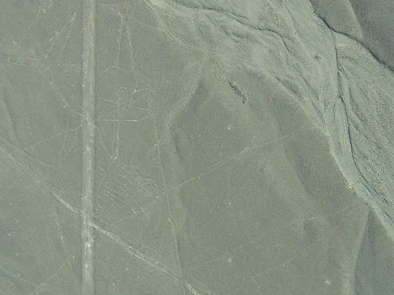 File:Nasca Whale 2007 08.JPG