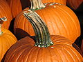 Thumbnail for version as of 23:39, 19 September 2008