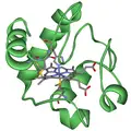 Thumbnail for version as of 00:22, 17 May 2008