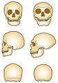 Thumbnail for version as of 00:27, 6 March 2007