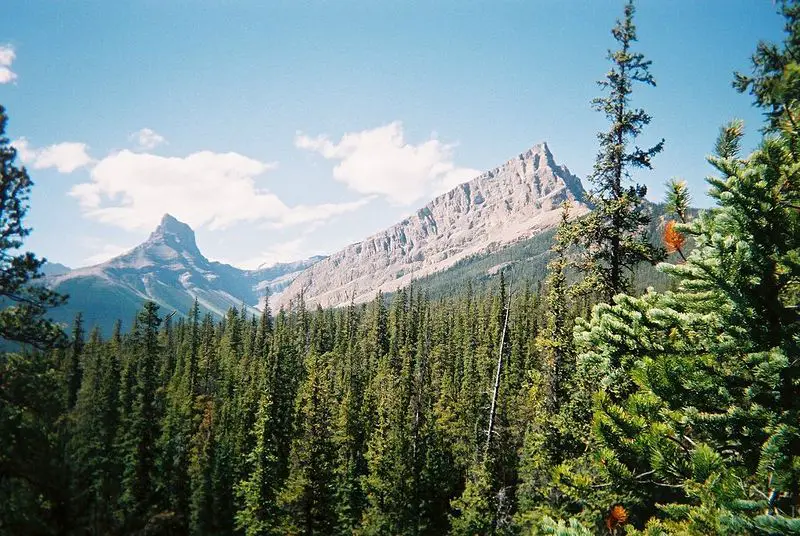 File:Rockymountainnps.jpg