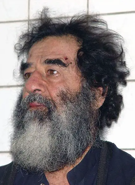 File:Saddamcapture.jpg