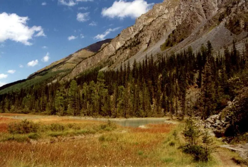 File:Altai Kutscherla-Tal.jpg
