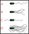 Thumbnail for version as of 22:14, 4 April 2006