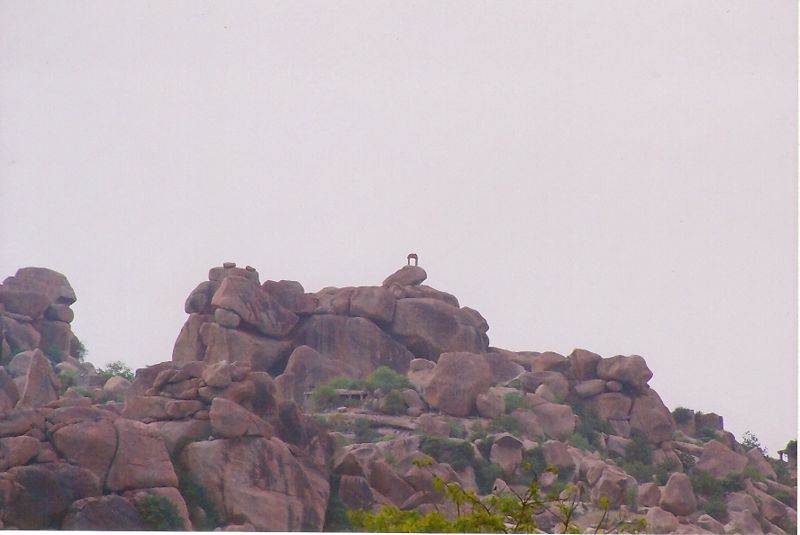 File:Vijayanagar Sentrypost.jpg