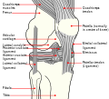 Thumbnail for version as of 22:54, 28 January 2009