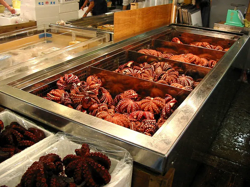 File:Octopuses in Tsukiji.JPG
