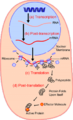 Thumbnail for version as of 20:02, 21 December 2005