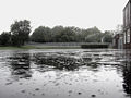 Thumbnail for version as of 02:01, 23 December 2006