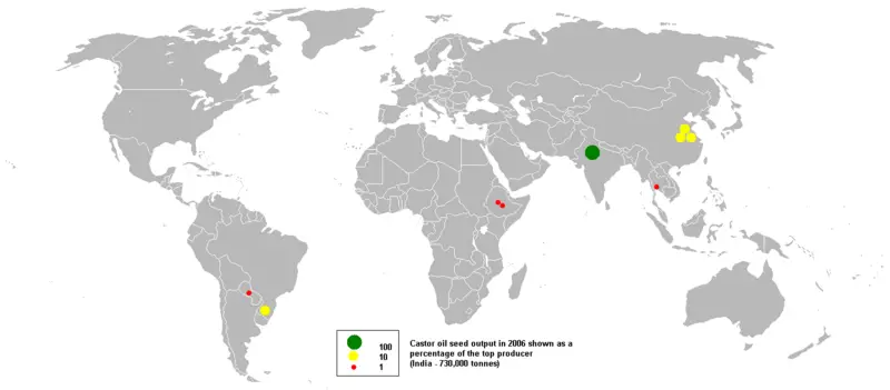File:2006castor oil seed.PNG