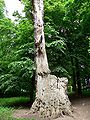 Thumbnail for version as of 15:04, 14 October 2008