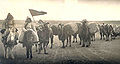 Thumbnail for version as of 21:24, 19 August 2008