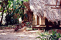 Thumbnail for version as of 01:02, 15 December 2007