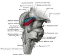 Thumbnail for version as of 21:52, 19 September 2006
