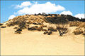 Thumbnail for version as of 22:54, 21 November 2007