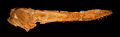Thumbnail for version as of 23:11, 16 January 2007
