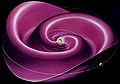Thumbnail for version as of 15:12, 7 June 2007