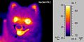 Thumbnail for version as of 23:16, 26 May 2006