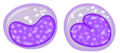 Thumbnail for version as of 21:13, 5 May 2007