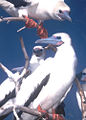 Thumbnail for version as of 13:50, 24 August 2007