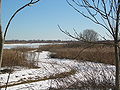 Thumbnail for version as of 23:01, 27 May 2007