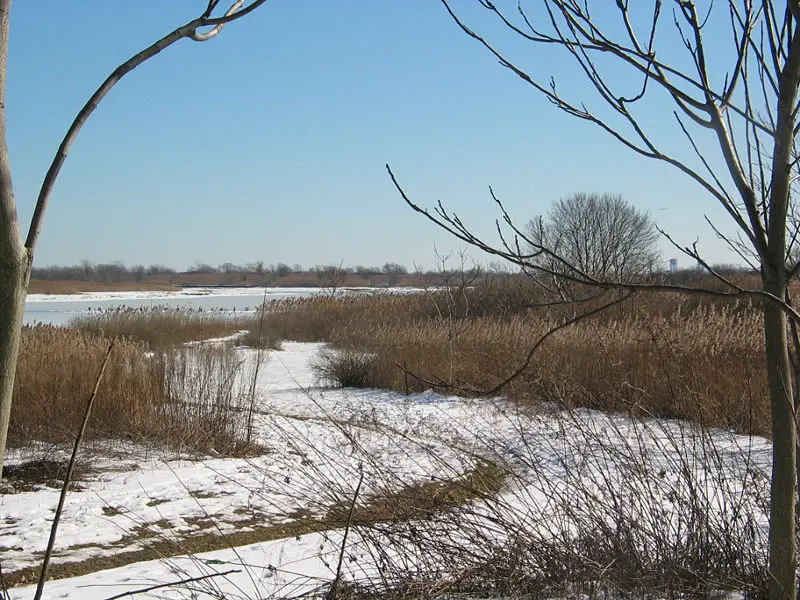 File:SaltMarsh-Winter.JPG