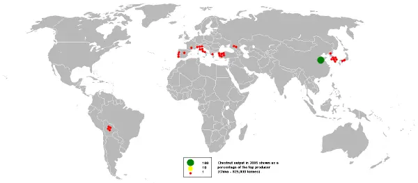 Chestnut - New World Encyclopedia