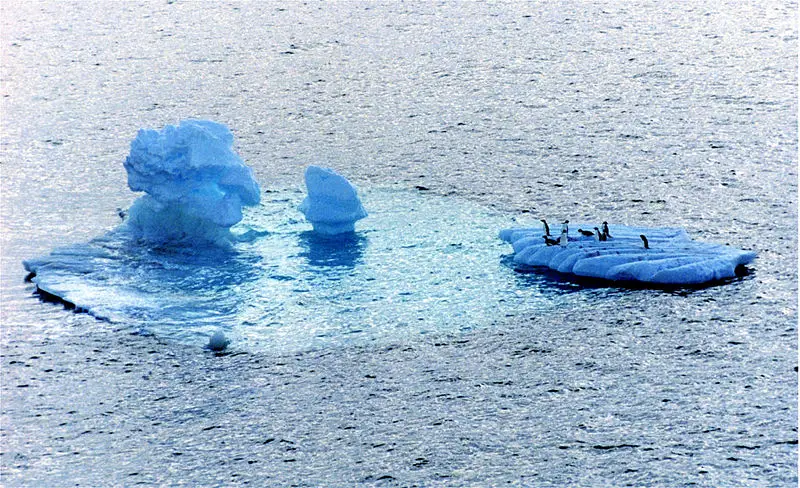 File:Image-Adélie at iceberg.jpg.jpg