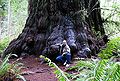 Thumbnail for version as of 18:09, 22 December 2007