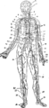 Thumbnail for version as of 12:21, 3 May 2008