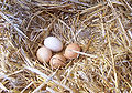 Thumbnail for version as of 20:14, 2 July 2006
