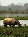 Thumbnail for version as of 01:25, 16 October 2007