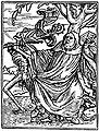 Thumbnail for version as of 03:09, 19 February 2009