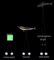 Thumbnail for version as of 15:01, 28 June 2006
