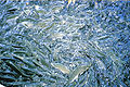 Thumbnail for version as of 11:46, 2 July 2006