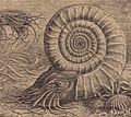Thumbnail for version as of 16:56, 19 January 2007