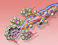 Thumbnail for version as of 16:32, 24 October 2008