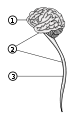 Thumbnail for version as of 12:48, 2 July 2006