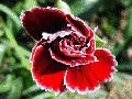 Thumbnail for version as of 20:19, 10 August 2006