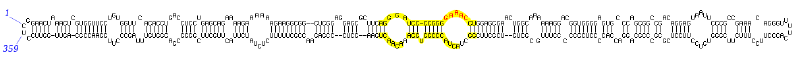 File:PSTviroid.png