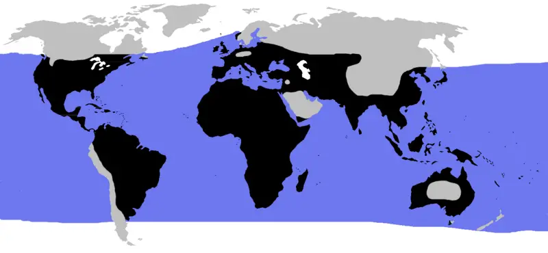 File:World.distribution.testudines.1.png