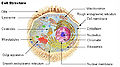 Thumbnail for version as of 16:44, 9 February 2007