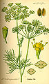 Thumbnail for version as of 20:03, 14 December 2007